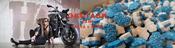 сатива Новокубанск