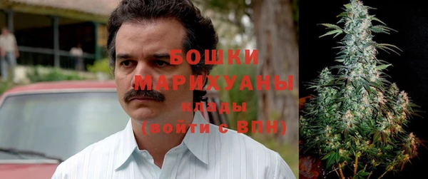 гидра Нягань