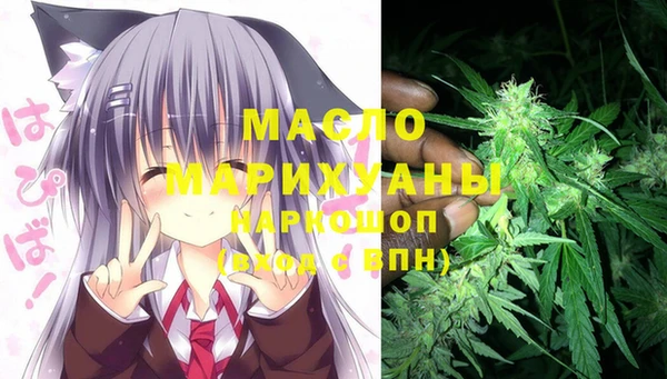 сатива Новокубанск