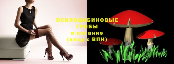 МДМА Няндома