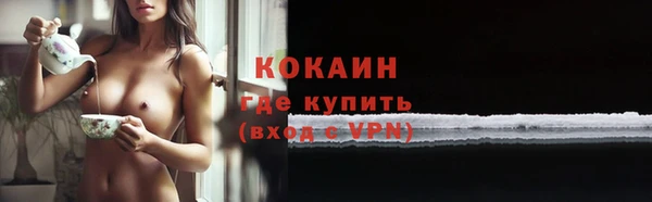 сатива Новокубанск
