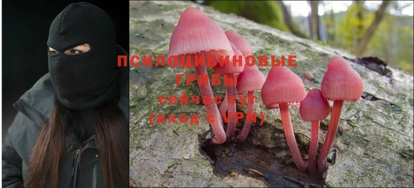 mix Нязепетровск
