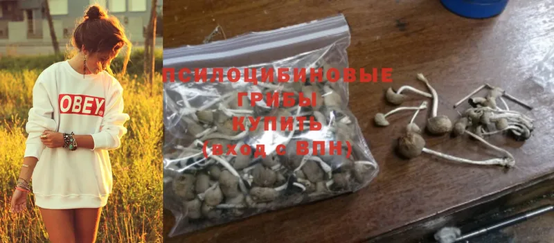 Псилоцибиновые грибы Magic Shrooms  Колпашево 